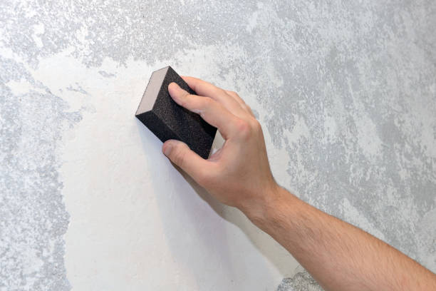 Best Industrial Mold Remediation  in Indian Head, MD