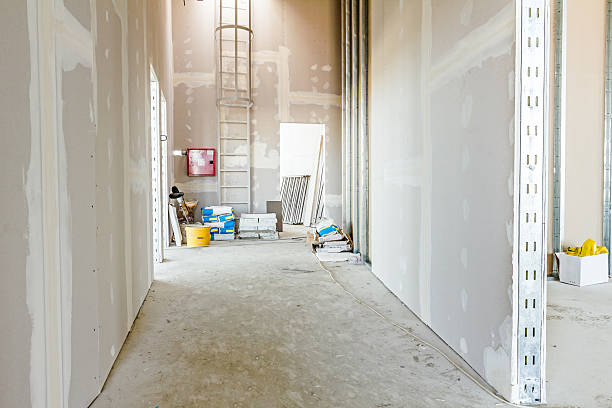 Best Forensic Mold Investigation  in Indian Head, MD